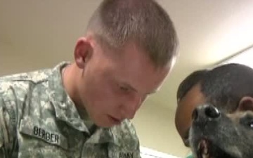 Military Working Dogs Get Physical B-Roll