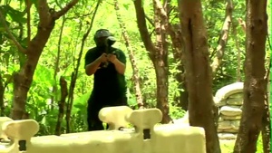 Jungleball