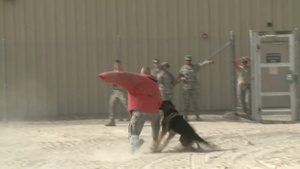 Airmen in the Fight: SSgt Pousha