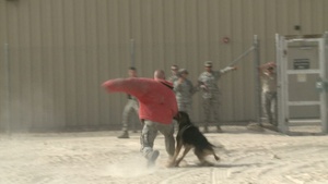 Airmen in the Fight: Staff Sgt. Pousha