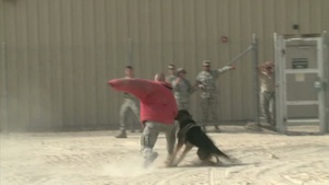 Airmen in the Fight: SSgt Pousha