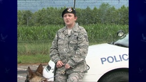 Around the Air Force: K-9 Care