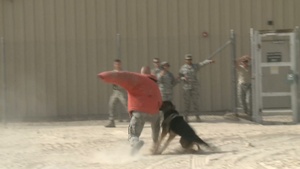 Airmen in the Fight: SSgt Pousha (No Titles)
