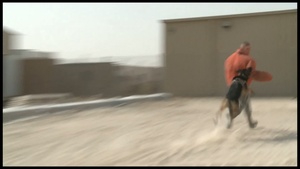 Airmen in the Fight: SSgt Pousha