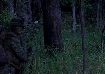 Talisman Saber 2013 Amphibious Assault