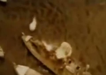 Pacific Hero - Maj. George Welch-KW60