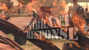 2013 Vibrant Response PSA