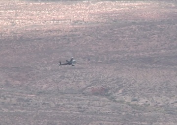 Combat Observation Lase Team Training