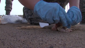Airmen Exercise Search and Recovery