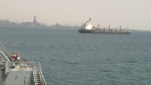 Sea Gally