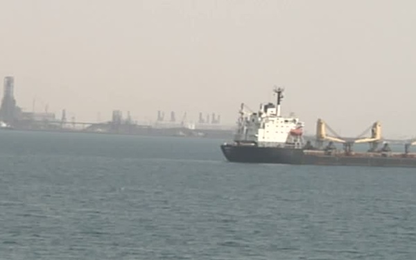 Sea Gally
