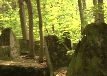 Dragon's Teeth Short Version