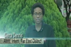 AMIE Internship at the Far East District