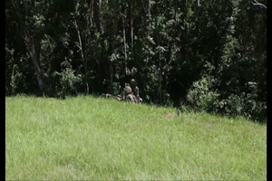 Infantry Marines Take to the Air