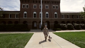 Pfc. Chesty XIV at Marine Barracks Washington, D.C. Part 1 of 2