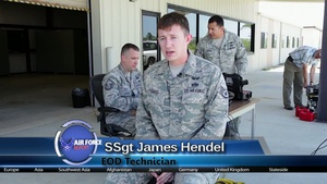 Air Force Report: T-Hawk Aerial System