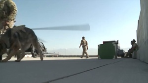 Around the Air Force: Aug 20