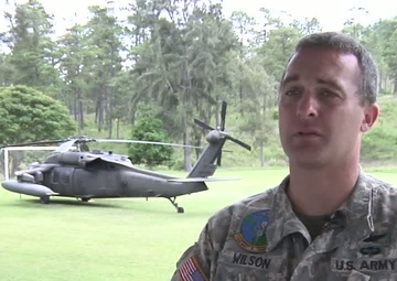 Downed Black Hawk
