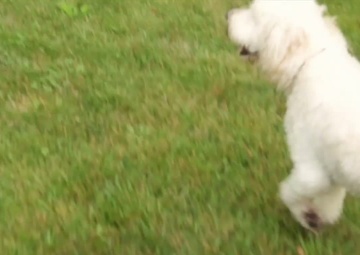 If In Doubt, Stay Out! (30 sec PSA)