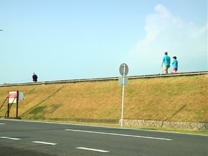 Dog Daze in Iwakuni