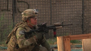 Train for Stress, Train to Fight