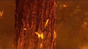 MAFFS Continue to Help Fight Wildfires