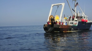 Coast Guard assists in dolphin’s release into the ocean