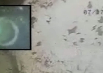 Divers apply primer substance