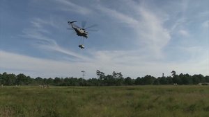 CLR-25 Field Exercise HST