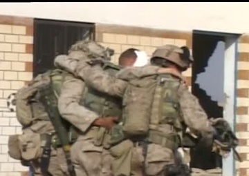 Marines take Fallujah from enemy hands during Operation Al Fajr, Operation Phantom Fury - Package