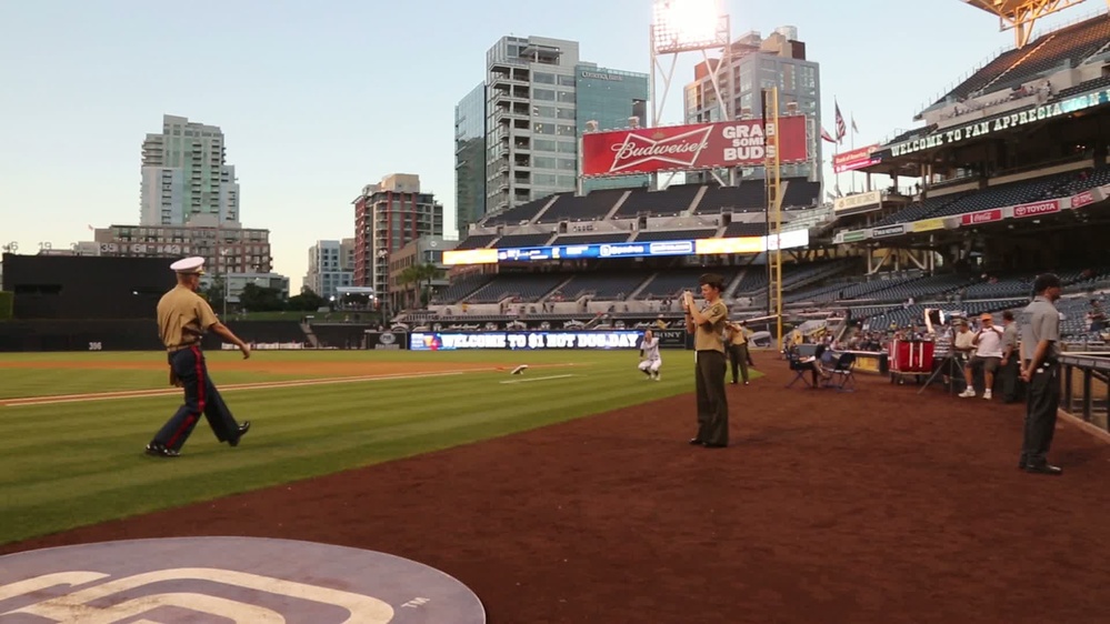 Col. Farnam throws ceremonial first pitch