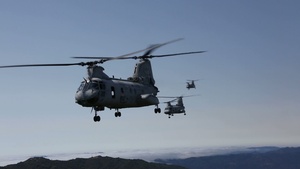 Red Dragons Prepare to Say Goodbye to Sea Knight