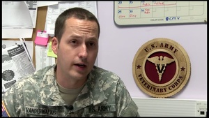 Domestic Pets and Their Dedicated Vets