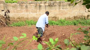 U.S. Soldiers, Ugandan Share Best Practices In Effort to Improve Health Care Systems
