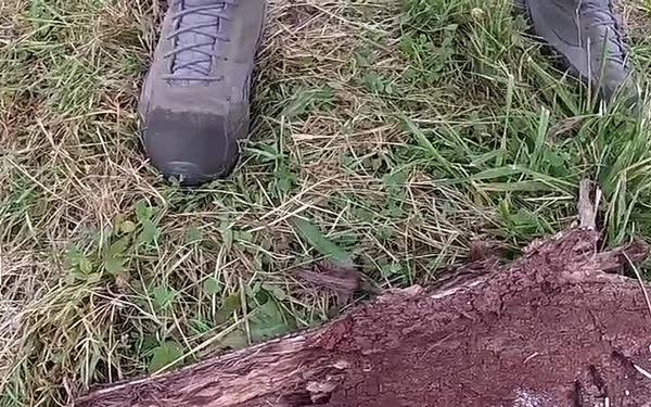 Survival Skills Training