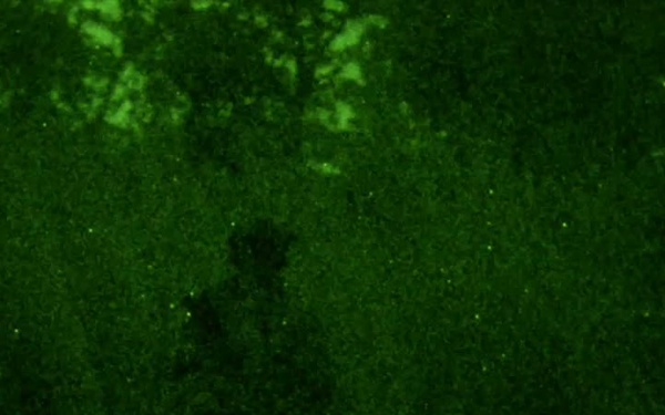 We Own the Night - Training with U.S. and Australian Special Operations Forces