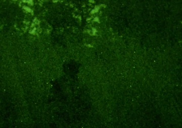 We Own The Night - Training with U.S. and Australian Special Operations Forces