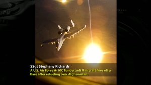 Troops in Focus: Fly by Night