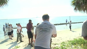 Oyster Reef