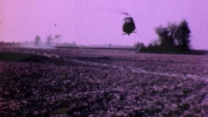 Veterans' Day Campaign