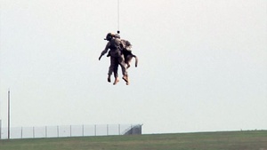 ...When Dogs Fly