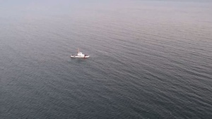 Entangled whale off Manasquan Inlet, N.J.