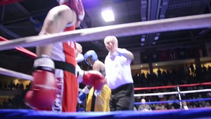 Wiesbaden Boxing Invitational