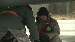 Maintainers Dedicated to Icelandic Air Sovereignty