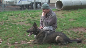 Air Force Report: Working Like a Dog