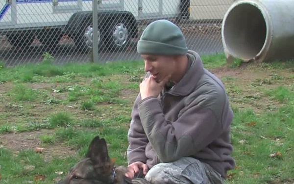 Air Force Report: Working Like a Dog