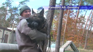 Air Force Report: Meet Charly the MWD