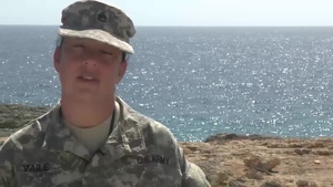 Sgt. 1st Class Gina Vaile-Nelson