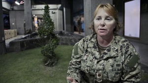 Operation Damayan, Typhoon Haiyan/Yolanda