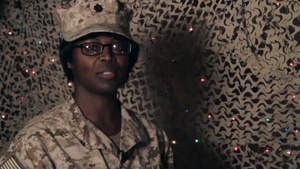 Cmdr. Tammy Mitchell